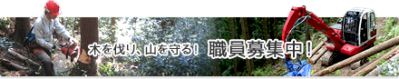 木を刈り、山を守る！　職員募集中！