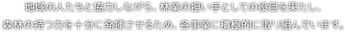 地域の人たちと協力しながら、林業の担い手としての役目を果たし、森林の持つ力を十分に発揮させるため、各事業に積極的に取り組んでいます。