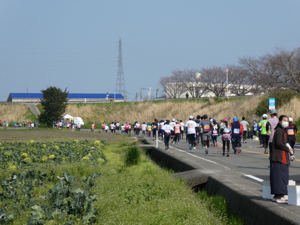 2018-3　とくしまマラソン9