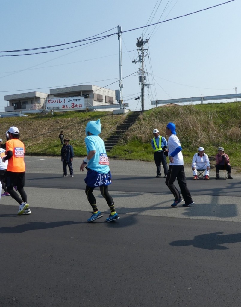 2018-3　とくしまマラソン8-1