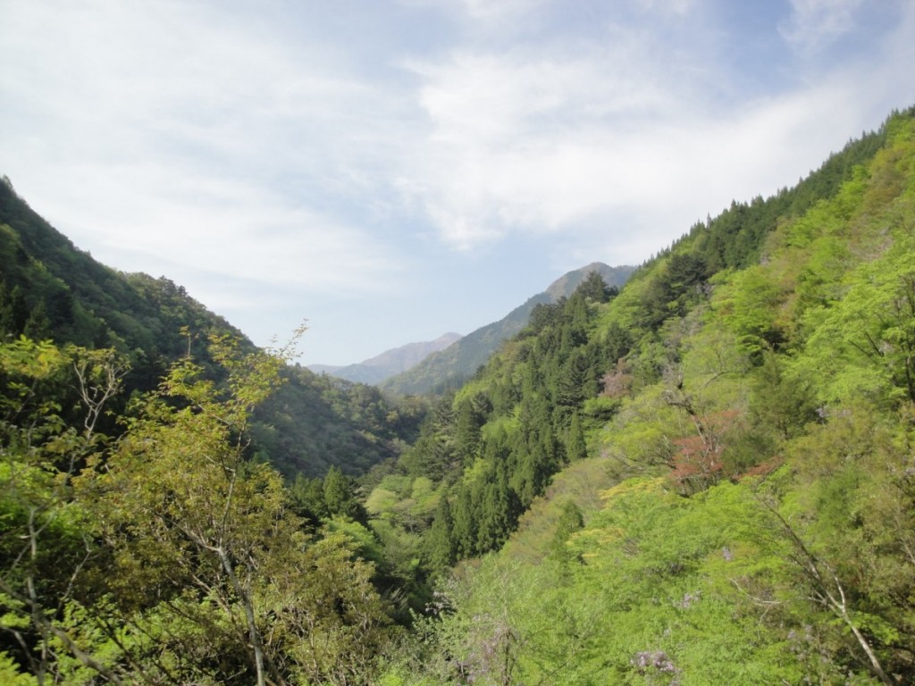 2018-4　山笑う1