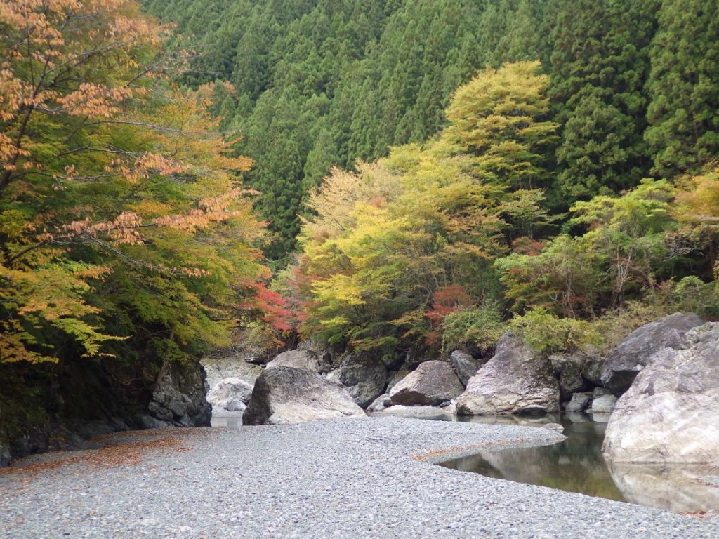 2018-11　岩倉 (3)