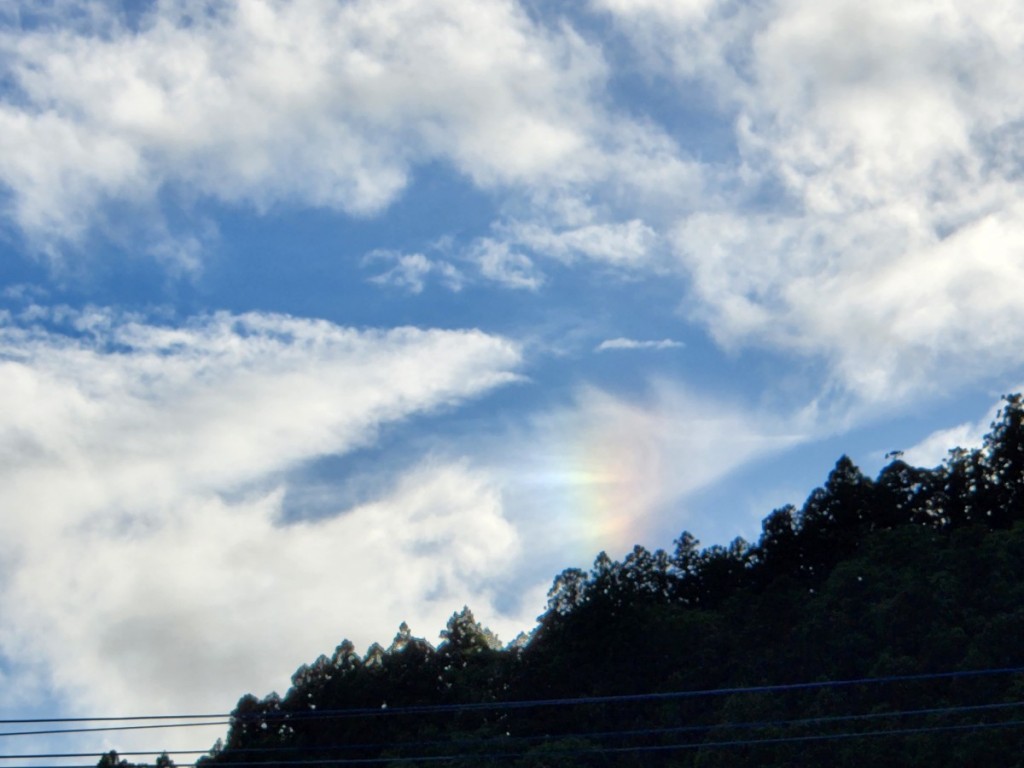 2024-5　大雨 (2)